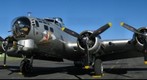B17
