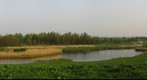 Abstwoude