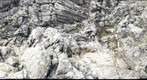 Porth Clais Sill Top