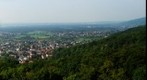 From the Alsbach Tower
