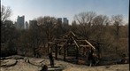 Central Park, New York City, NY