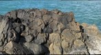 Pillow Lava Detail, Pen Anglas