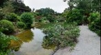 Hakone Gardens (2), Saratoga, California