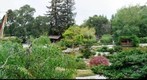 Hakone Gardens (3), Saratoga, California