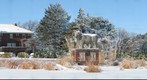 Snow Bull