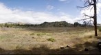 Zona de acampada. Tejeda. Isla de Gran Canaria