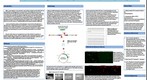 whereRU: Aresty Poster 19 - CPE and NOS1AP in Neuronal Development