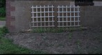 SV + Garden
