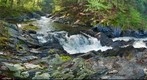 Chutes at Mystery Trail