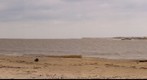 brazos river delta texas