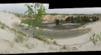 Indiana Dunes Gigapan at the 2009 Bioblitz (Autopano Stitcher)