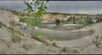 Indiana Dunes Bioblitz (Gigapan stitcher)