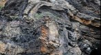 Fault Propagation Fold Broadhaven 3