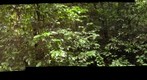 Pailas - 1100m