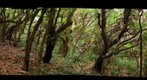 Pailas-1460m