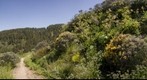 Roque Grande, Valsequillo. Isla de Gran Canaria