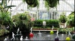 Water Garden at Phipps Conservatory
