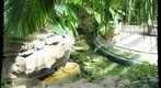 water top 