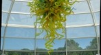 Chihuly at Phipps Conservatory