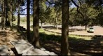 Llanos de la Pez, Las Mesas. Tejeda. Isla de Gran Canaria