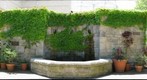 Fountain at Phipps Conservatory