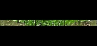 23775-400x189