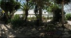 Phipps Conservatory, Cactus room