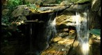 Phipps Frog Falls