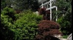 Japanese Garden at Phipps Conservatory