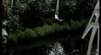 Glass exhibit at Phipps conservatory