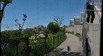 Day at Phipps conservatory