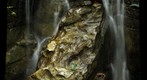 Frog Falls