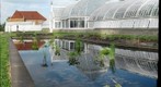 Early morning Phipps