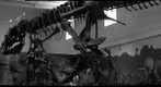 molly matt and a t-rex