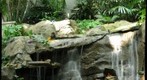 Frog Falls