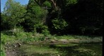 Panther Hollow Pond, 5-21-09