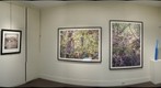 Cole Pratt Gallery 1