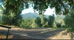 Agriturismo Montebelli, Caldana, Tuscany, Italy May 20th, 2009