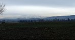 Saentis