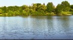 Lake Barrington Evening Glow