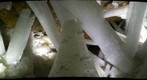 The Naica Cave