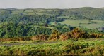 Above Lustleigh Cleave