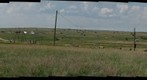 The old home place