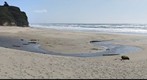 San Gregorio State Beach, north of Santa Cruz CA