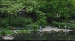NY Central Park