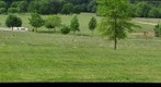 Garrison Forest - Veteran's Cemetery