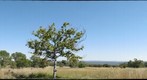 Lindani-Bushcamp