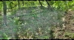 frontdunes_210509