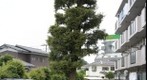 20090519 yokohama