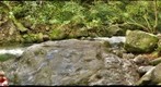 Spencer and Creek, Iao Valley (l42)